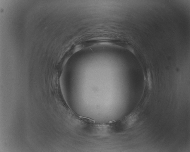 X0000053070233200507181634