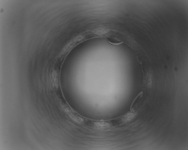 X0000053070234200507181634