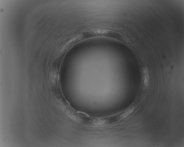 X0000053070235200507181634