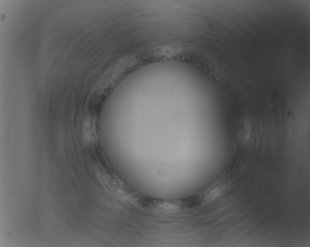 X0000053070236200507181634