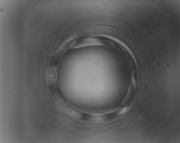 X0000053070237200507181634