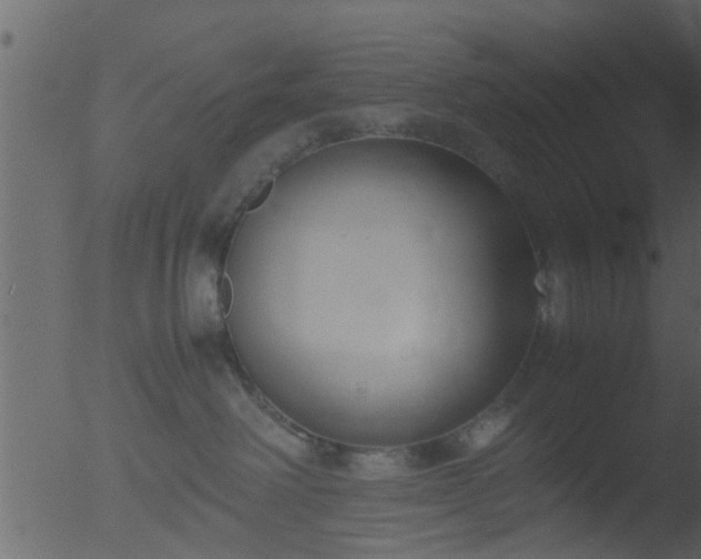 X0000053070238200507181634