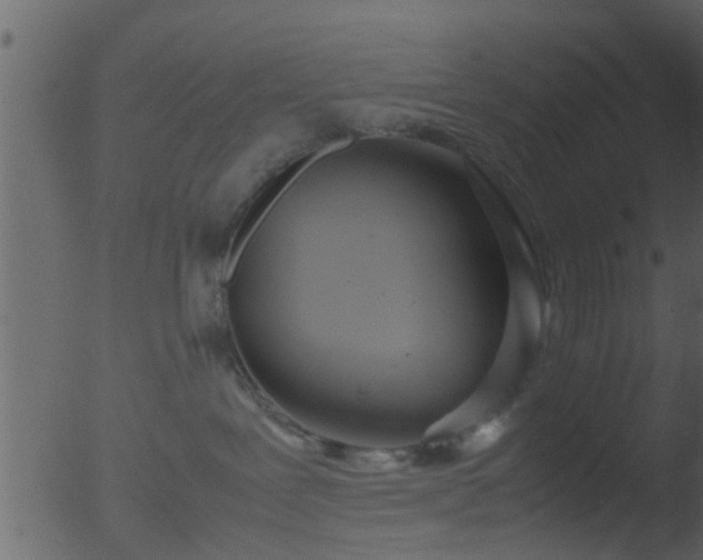 X0000053070239200507181634