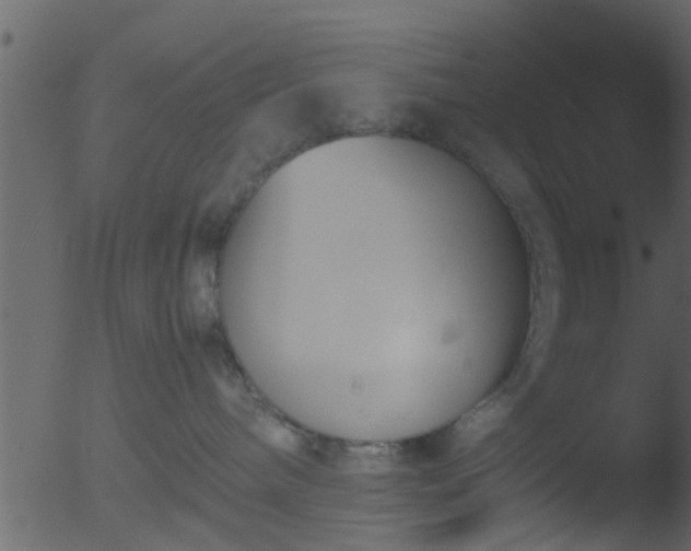 X0000053070240200507181634