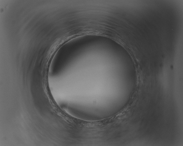 X0000053070241200507181633