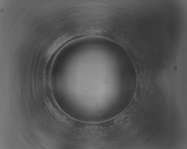 X0000053070242200507181633