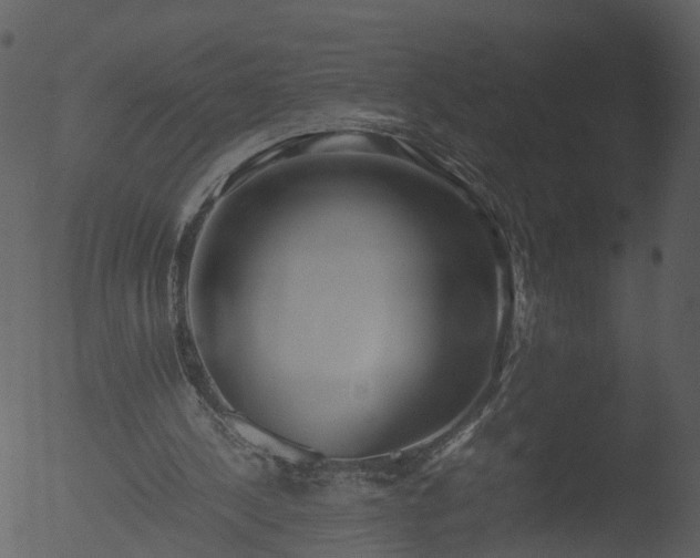 X0000053070244200507181633