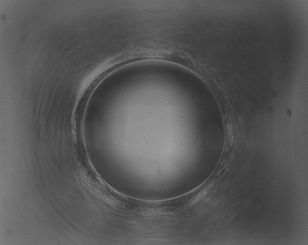 X0000053070246200507181633