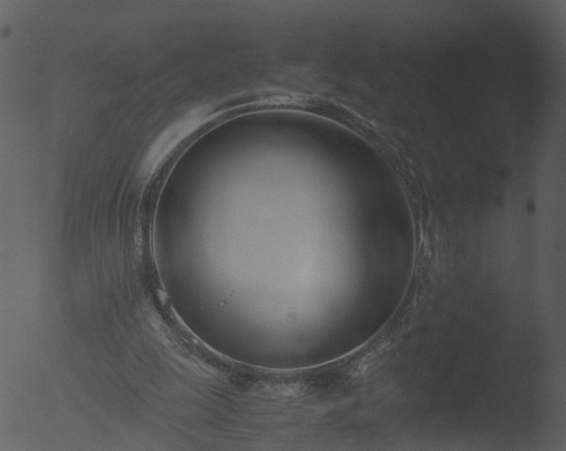 X0000053070247200507181633