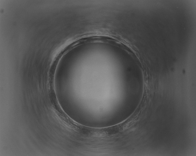 X0000053070248200507181633