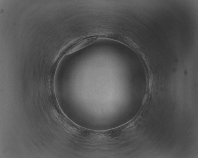 X0000053070249200507181634