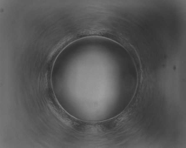 X0000053070250200507181634