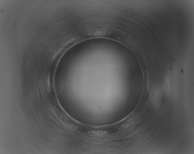 X0000053070251200507181634