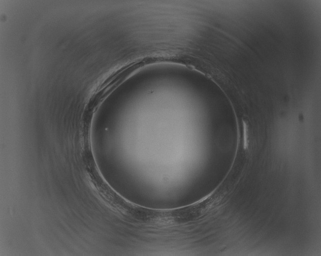 X0000053070252200507181634