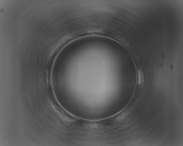 X0000053070253200507181634