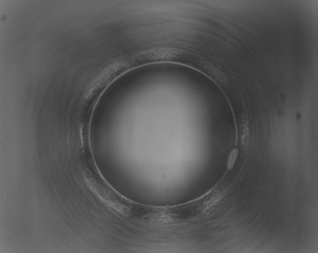 X0000053070254200507181634