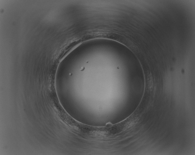 X0000053070255200507181634