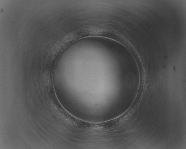 X0000053070257200507181634