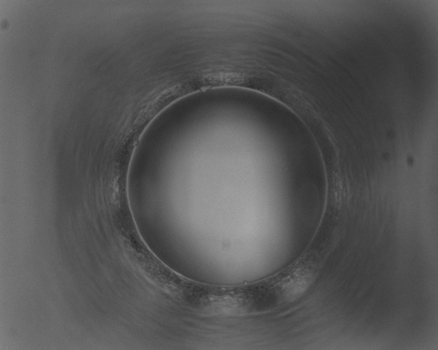 X0000053070259200507181634