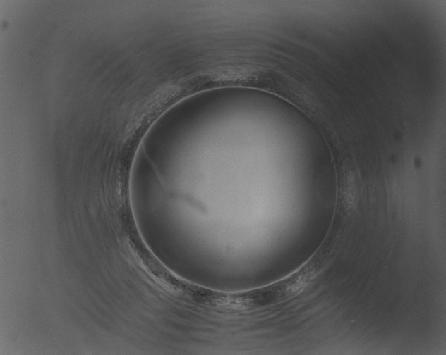 X0000053070261200507181634