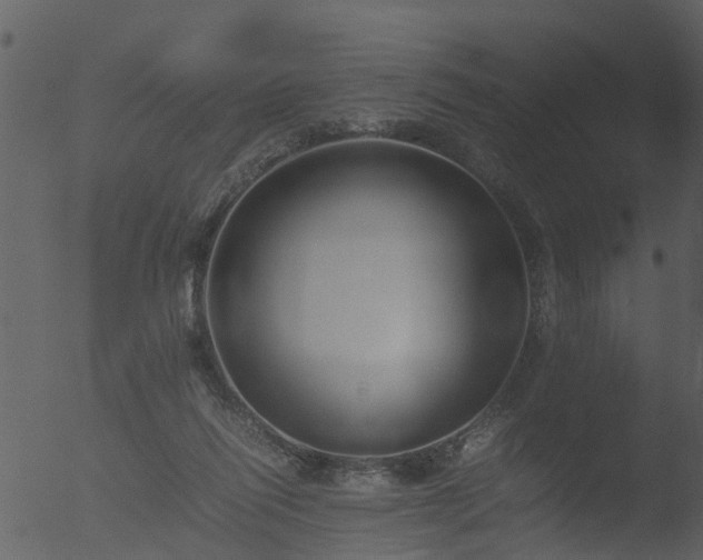 X0000053070262200507181634