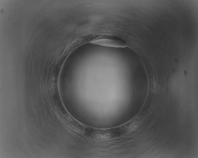 X0000053070263200507181634