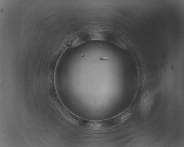 X0000053070265200507181634