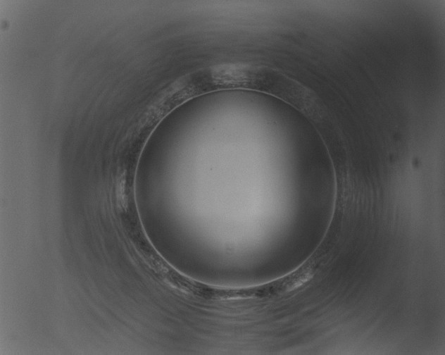 X0000053070267200507181634