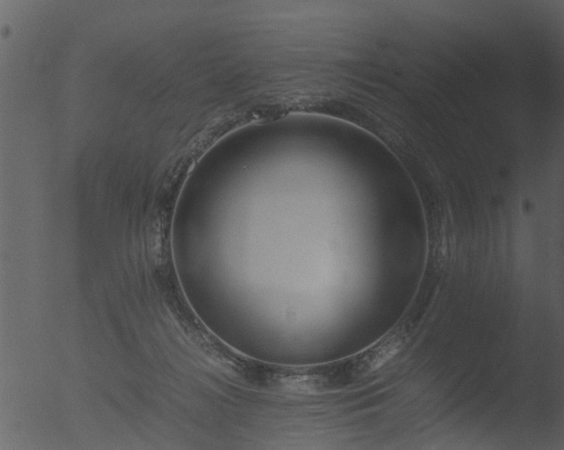 X0000053070268200507181634