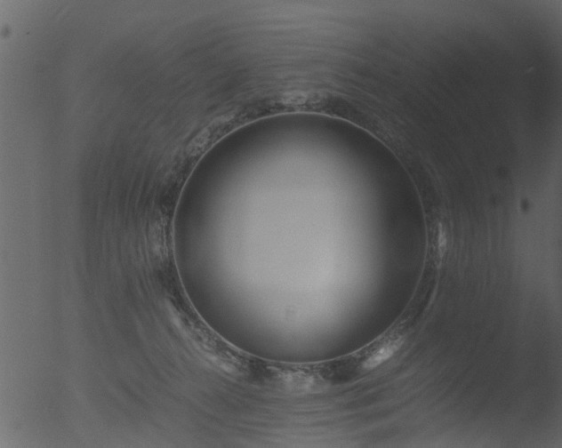 X0000053070272200507181634