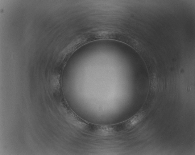 X0000053070278200507181634