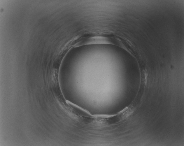 X0000053070280200507181634