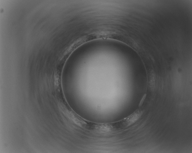 X0000053070282200507181634