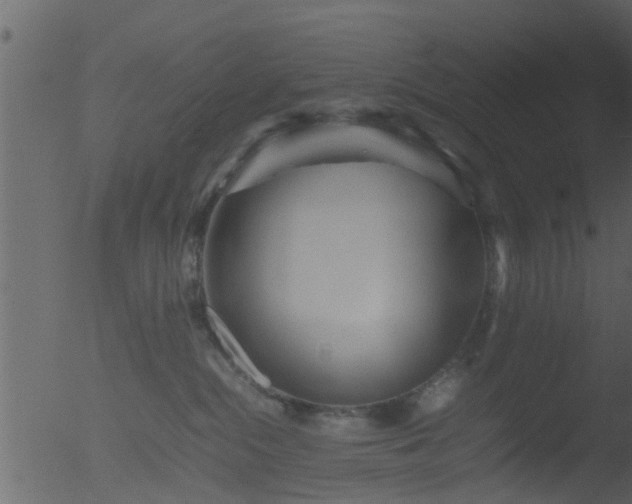 X0000053070284200507181634