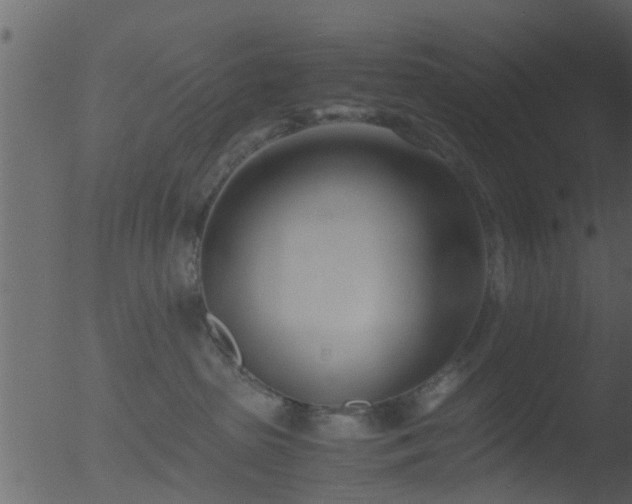 X0000053070285200507181634