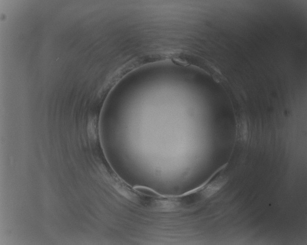 X0000053070286200507181634