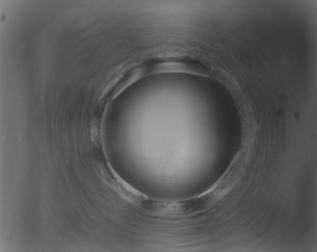 X0000053070288200507181634