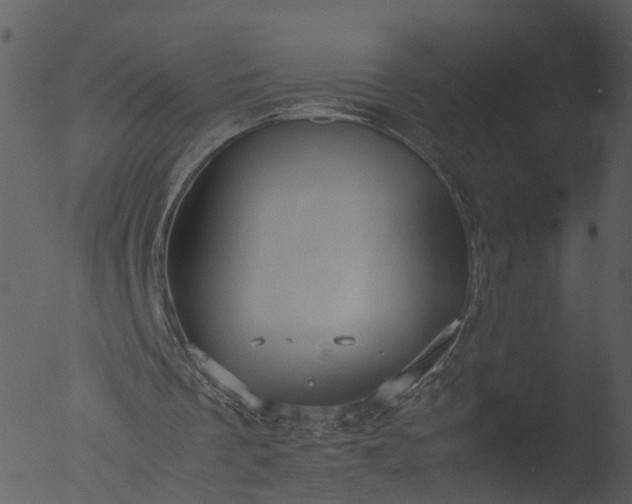 X0000053070289200507181633