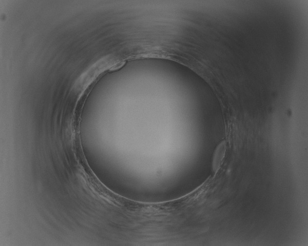 X0000053070290200507181633