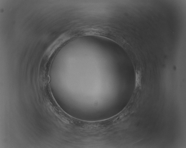 X0000053070291200507181633