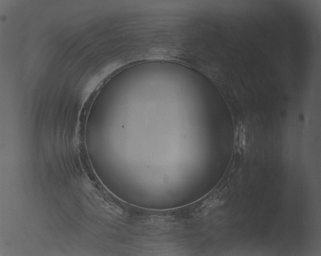 X0000053070292200507181633