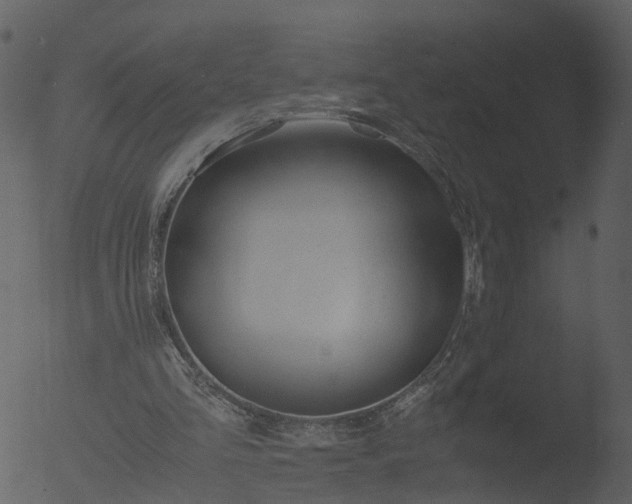 X0000053070293200507181633