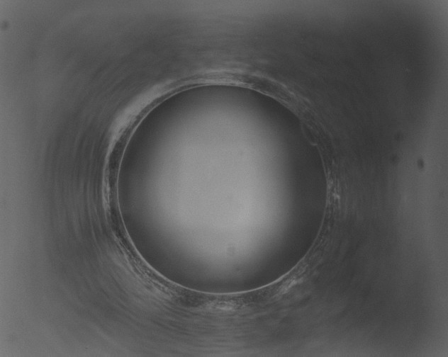 X0000053070294200507181633