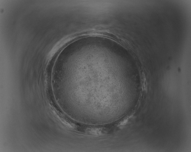 X0000053070295200507181633