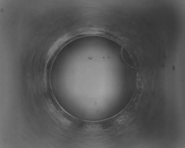 X0000053070296200507181633