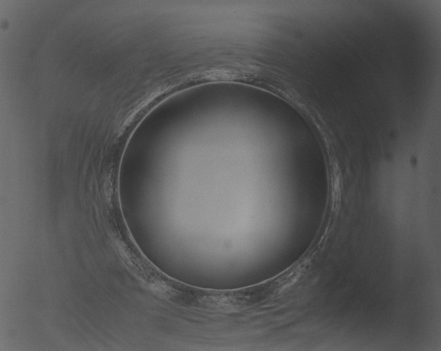 X0000053070297200507181633