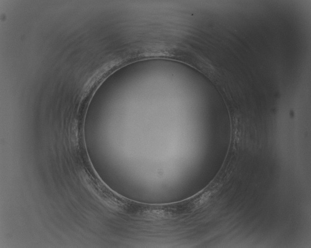 X0000053070298200507181633