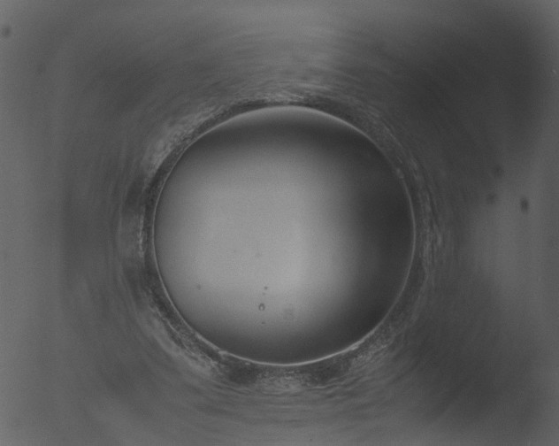 X0000053070299200507181633