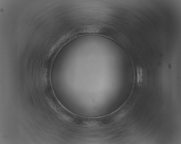 X0000053070300200507181633