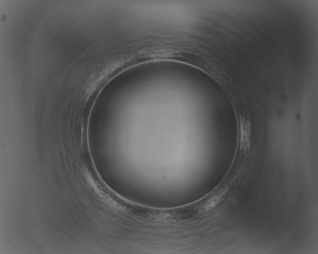 X0000053070301200507181633